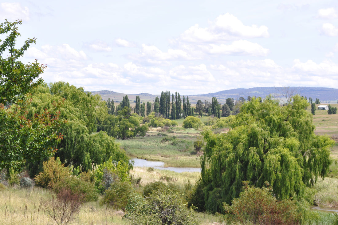 An Invitation to Slow Down