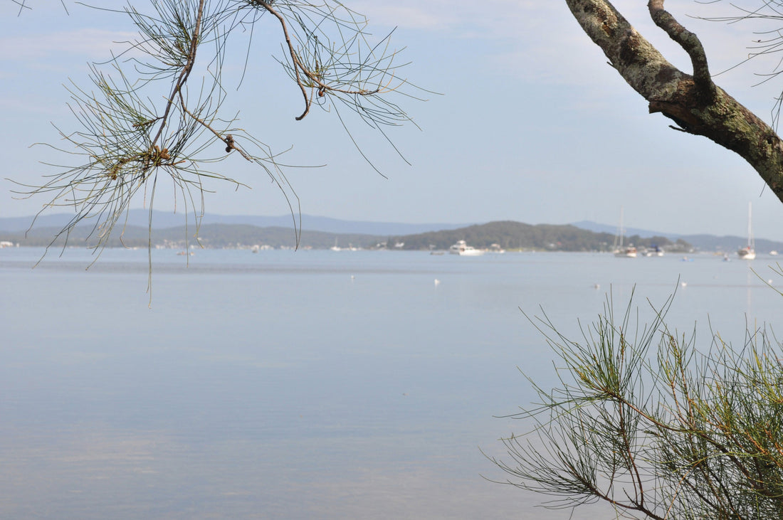 A New Year, a New Collection: Beginning the Lakehouse Story