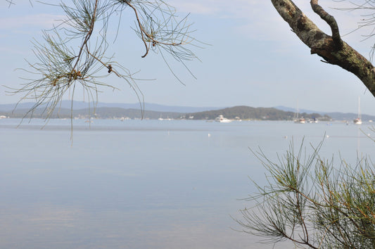 A New Year, a New Collection: Beginning the Lakehouse Story