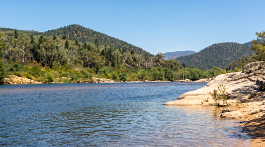 Welcome to Pinch River
