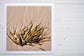 Pinch River unframed 17cm x 17cm Photographic Print on Paper Titled: Seaweed. The subject of the print is a bunch of seaweed in the sand. Top view.
