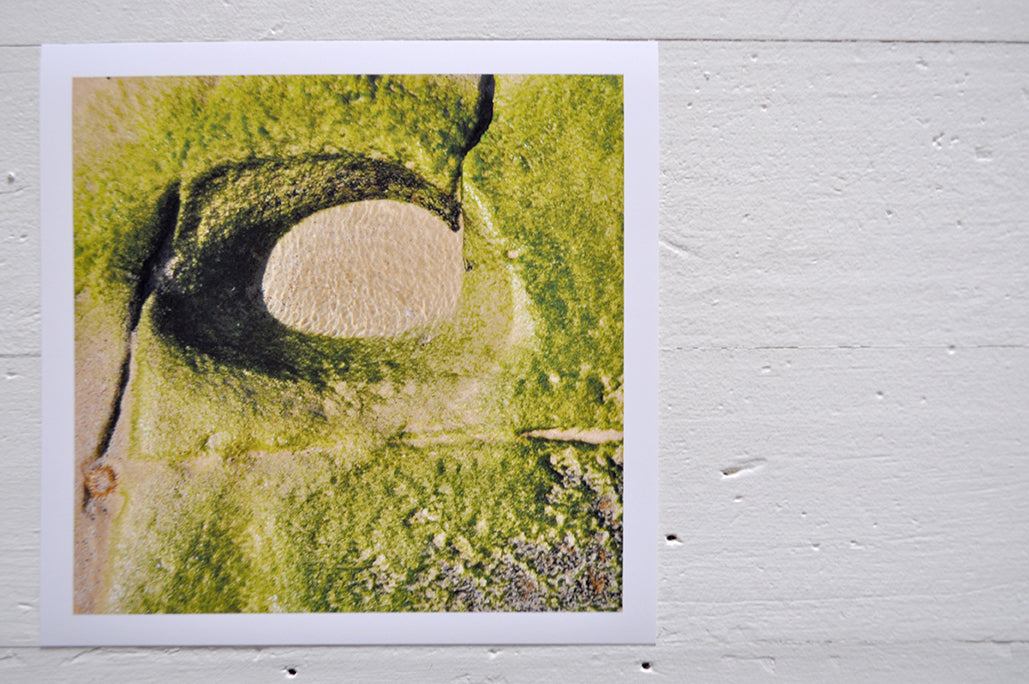 Pinch River unframed 17cm x 17cm Photographic Print on Paper Titled: Rock Moss Water. The subject of the print is a micro rock pool covered in moss and filled with water. Top view.