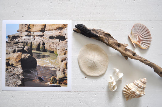 Pinch River unframed 17cm x 17cm Photographic Print on Paper Titled: Caves Beach #1. The subject of the print is rock formations in the water at Caves Beach. Top view with sea shells and driftwood next to it to style the product image.