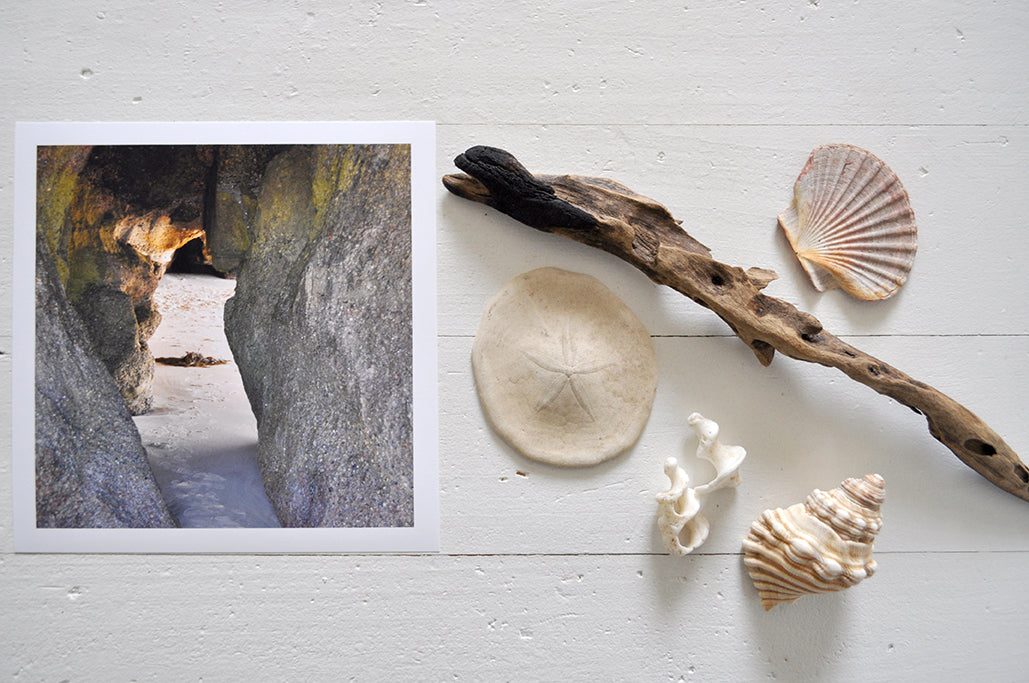 Pinch River unframed 17cm x 17cm Photographic Print on Paper Titled: Caves Beach #2. The subject of the print is looking through a cave opening with the sun reflecting on the cave wall. Top view with sea shells and driftwood next to it to style the product image.