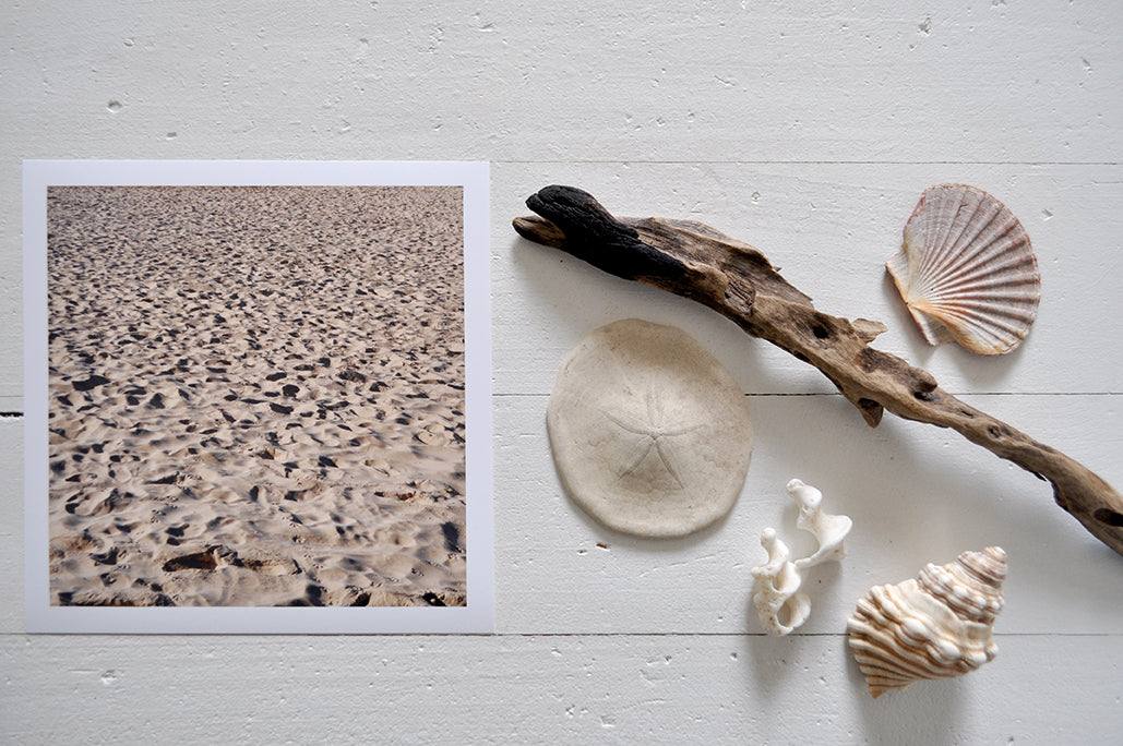 Pinch River unframed 17cm x 17cm Photographic Print on Paper Titled: A Day at the Beach. The subject of the print is footprints and seagull prints in the sand. Top view with sea shells and driftwood next to it to style the product image.