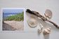 Pinch River unframed 17cm x 17cm Photographic Print on Paper Titled: Beach Track. The subject of the print is a beach track with the ocean in the background. Top view with sea shells and driftwood next to it to style the product image.