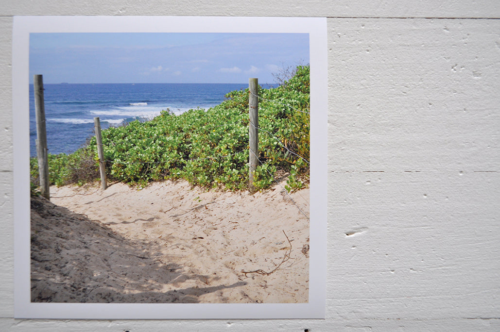 Pinch River unframed 17cm x 17cm Photographic Print on Paper Titled: Beach Track. The subject of the print is a beach track with the ocean in the background. Top view.