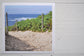 Pinch River unframed 17cm x 17cm Photographic Print on Paper Titled: Beach Track. The subject of the print is a beach track with the ocean in the background. Top view.