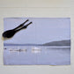 Tranquil Waters Tea Towel - 100% Linen