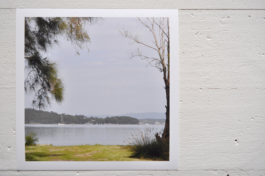 Pinch River unframed 17cm x 17cm Photographic Print on Paper Titled: Lakeside Vista. The subject of the print is a vista of the lake framed by trees on either side. Top view.