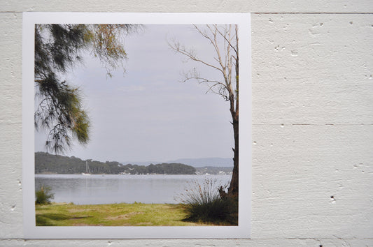 Pinch River unframed 17cm x 17cm Photographic Print on Paper Titled: Lakeside Vista. The subject of the print is a vista of the lake framed by trees on either side. Top view.