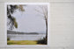 Pinch River unframed 17cm x 17cm Photographic Print on Paper Titled: Lakeside Vista. The subject of the print is a vista of the lake framed by trees on either side. Top view.