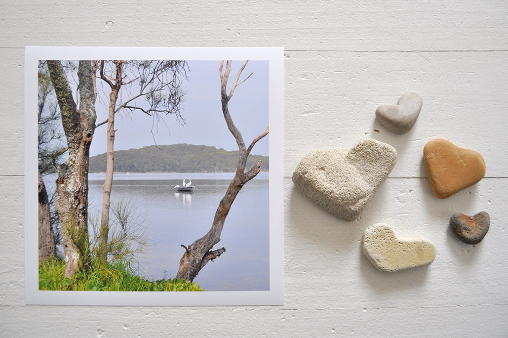 Pinch River unframed 17cm x 17cm Photographic Print on Paper Titled: Swansea Pelicans. The subject of the print is looking through the branches a tree on the lake shore to some pelicans out on the lake. Top view with love heart shaped stones to style the product image.
