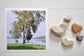 Pinch River unframed 17cm x 17cm Photographic Print on Paper Titled: Waiting for Sunday #1. The subject of the print is a large tree on the lake shore with an upturned row boat underneath it. Top view with love heart shaped stones to style the product image.