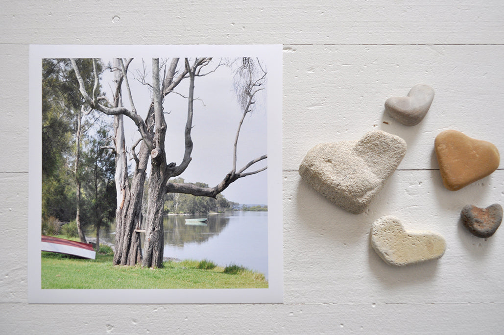 Pinch River unframed 17cm x 17cm Photographic Print on Paper Titled: Waiting for Sunday #2. The subject of the print is a large tree on the lake shore with an upturned row boat next to it. Top view with love heart shaped stones to style the product image.