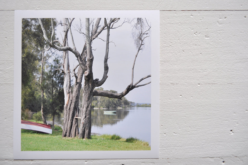 Pinch River unframed 17cm x 17cm Photographic Print on Paper Titled: Waiting for Sunday #2. The subject of the print is a large tree on the lake shore with an upturned row boat next to it. Top view.