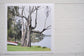 Pinch River unframed 17cm x 17cm Photographic Print on Paper Titled: Waiting for Sunday #2. The subject of the print is a large tree on the lake shore with an upturned row boat next to it. Top view.