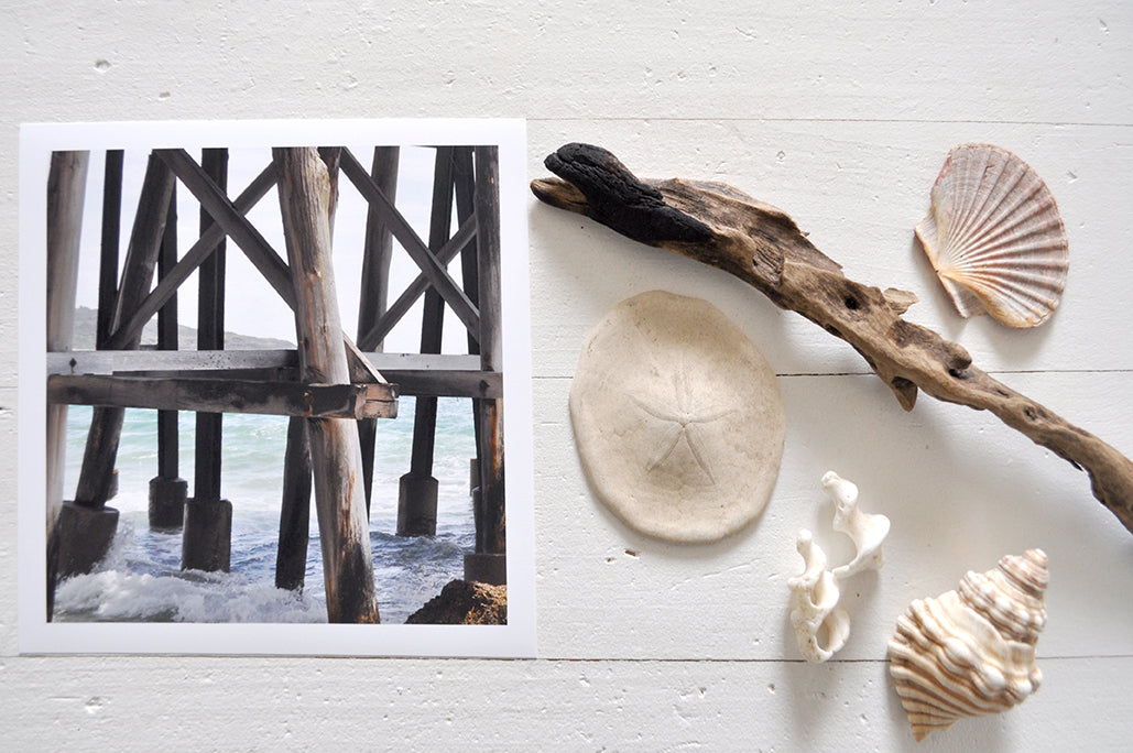 Pinch River unframed 17cm x 17cm Photographic Print on Paper Titled: Underneath the Jetty #4. The subject of the print is a close-up of the iconic Catherine Hill Bay Jetty from underneath, with the weather-worn timber pilings. Top view with sea shells and driftwood next to it to style the product image.