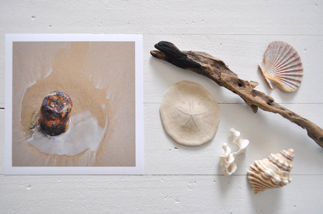 Pinch River unframed 17cm x 17cm Photographic Print on Paper Titled: Worn by the Tide. The subject of the print is a rusted metal post in the sand, in a pool of water. Top view with sea shells and driftwood next to it to style the product image.