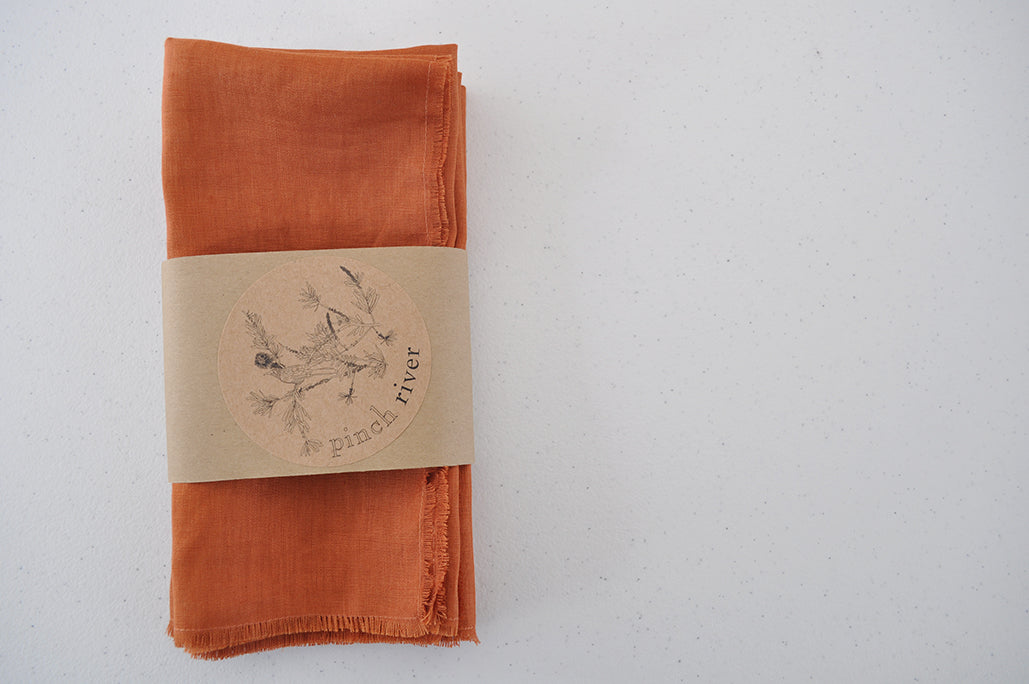 Set of 4 Pinch River pure linen napkins in Rust, in a branded belly band / product sleeve. Top view.
