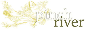 Pinch River website logo