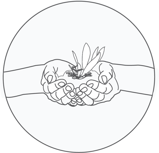 Illustration of two hands holding a small plant together. This illustration conveys Pinch River products are sustainable and tread lightly on the earth.